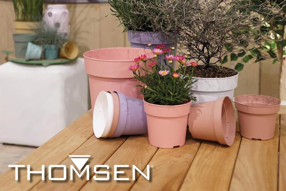 Thomsen